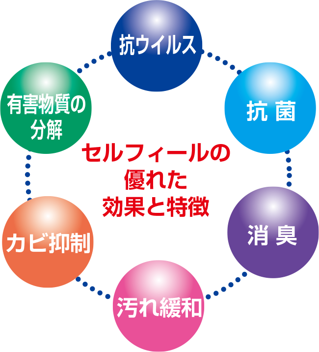 セルフィールの特徴
